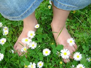 daisy_feet